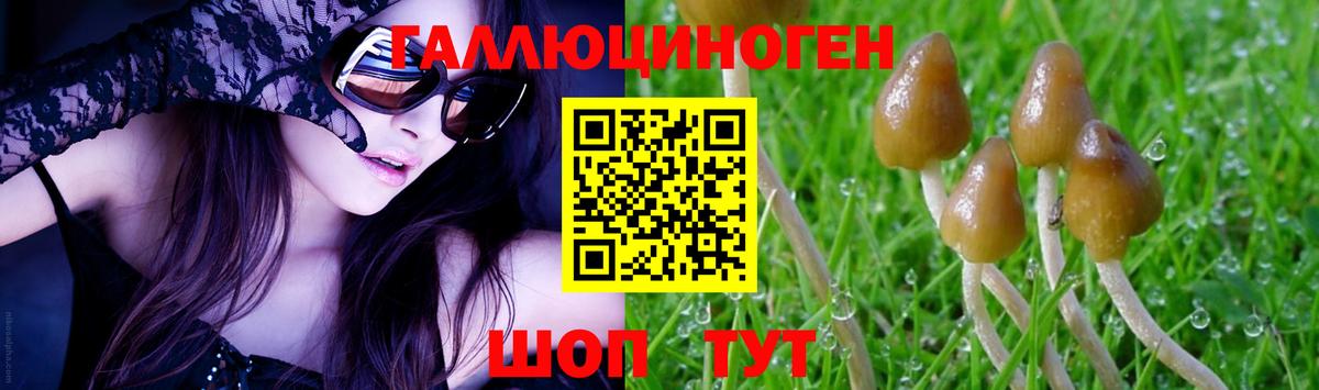 Еманжелинск  наркота  Вход с VPN  Псилоцибиновые грибы Psilocybine cubensis 